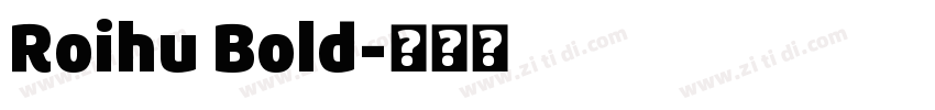 Roihu Bold字体转换